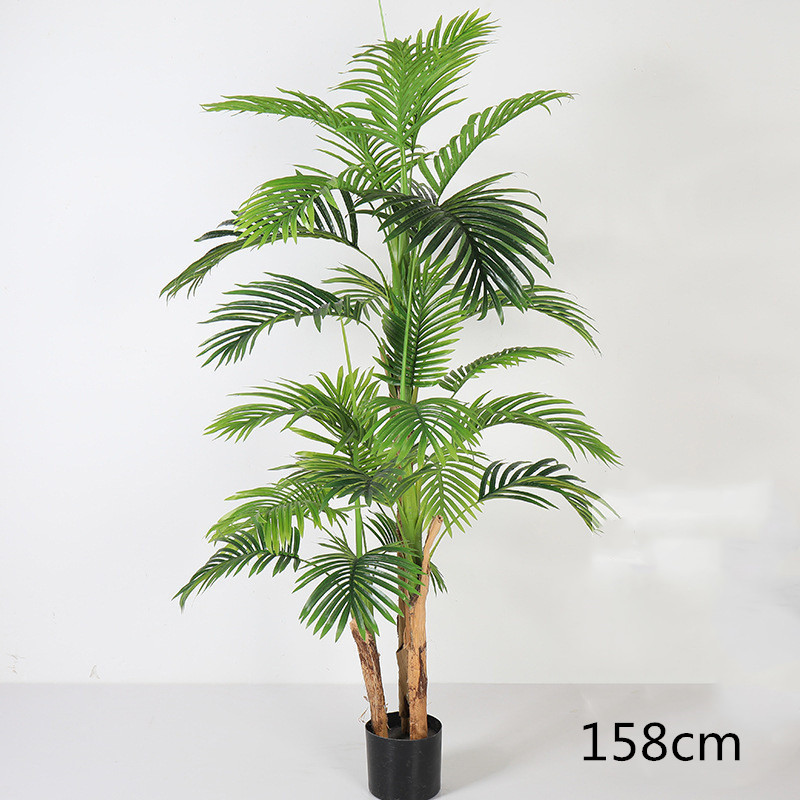 Areca Palm 158cm