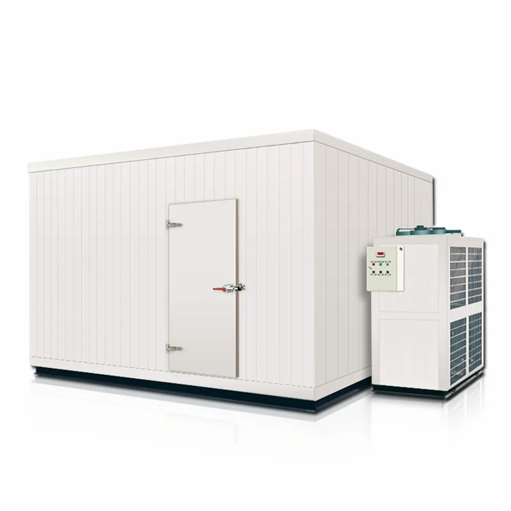 Equipo de almacenamiento en frío con aire acondicionado personalizado furgón de almacenamiento en frío refrigerado temperatura y tamaño se pueden personalizar