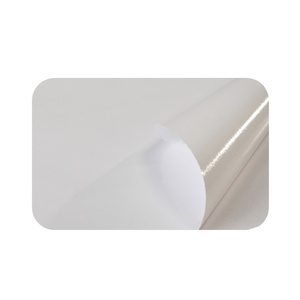 Hot Sales High Quality Glossy Self Adhesive <strong>Vinyl</strong>