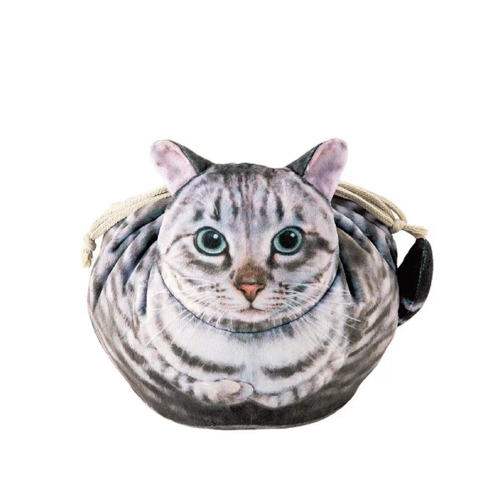 Chat rayé gris