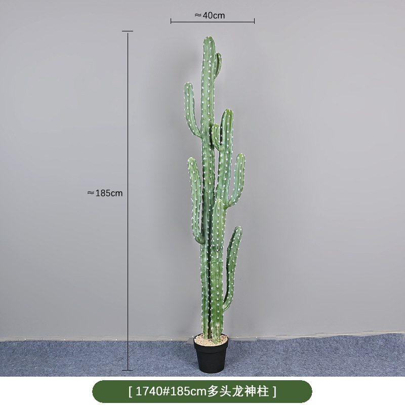 1740 #185cm Pilar Dragón