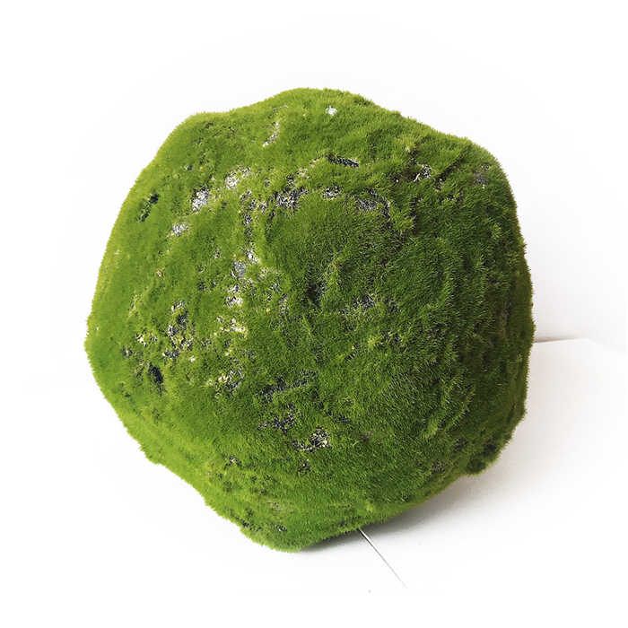 QSHLHP-948 Hot Sale Artificial Green Marimo Moss Ceiling Ball for Indoor Decor