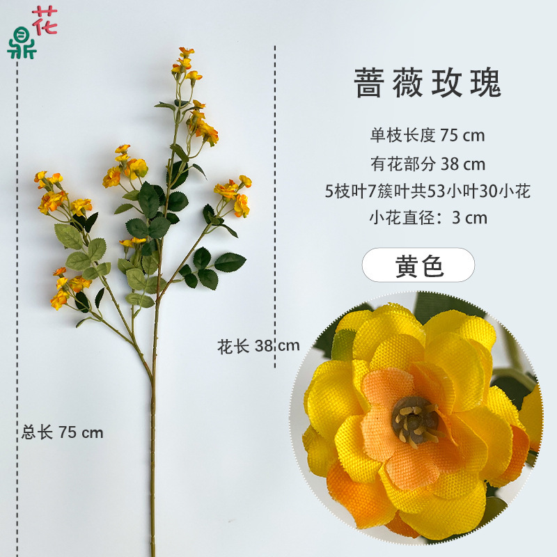 Rose, Yellow