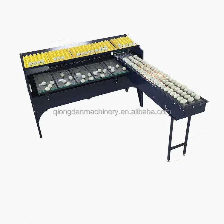 Equipo de procesamiento de huevos multifuncional Máquina clasificadora de huevos Máquina clasificadora de clasificación de huevos de pato precio a la venta