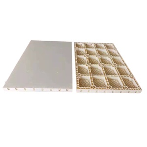 中国工厂定制现代设计建筑用塑料混凝土模板 - Product Image 6
