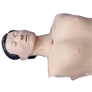 ADA <strong>Basic</strong> CPR Training Model (Half Body) and Half Body CPR Training Model (Male) with Half Body CPR Training Model (Female) - Product Image 5