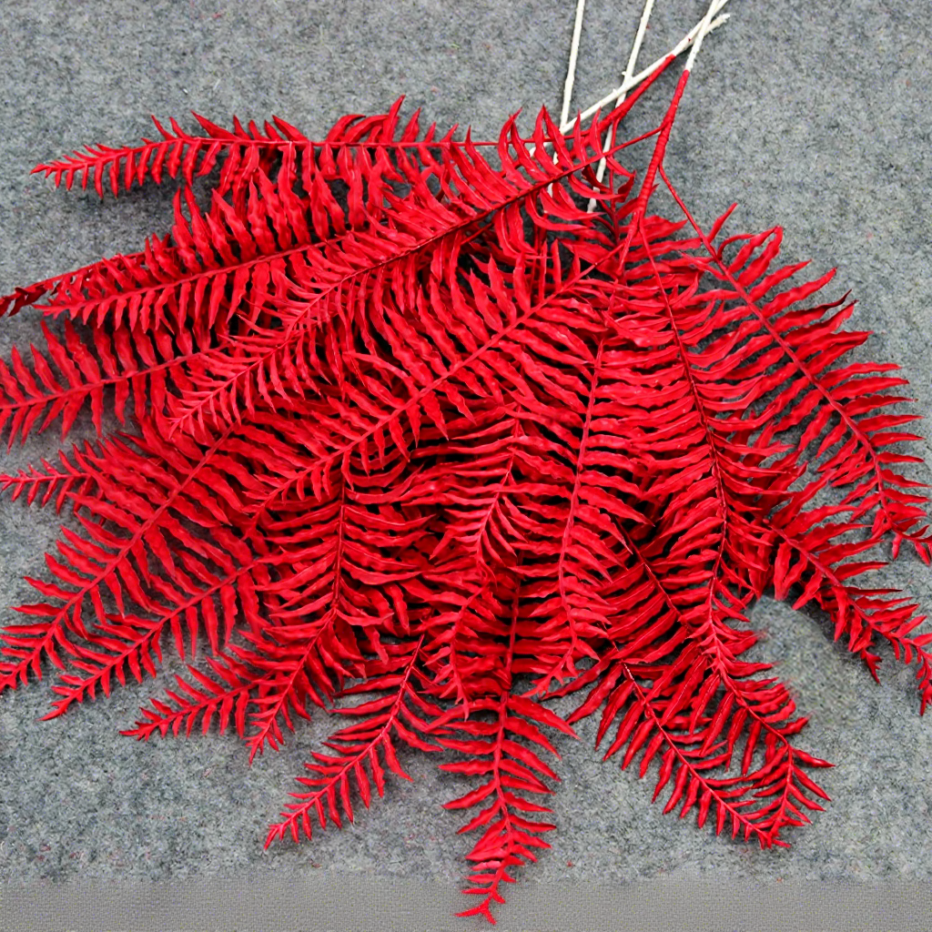 Espinaca roja de 5 puntas / unidad