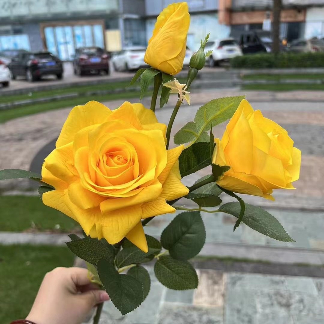 3 têtes sensation hydratante reine rose jaune