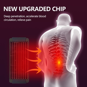 Kırmızı 660nm 850nm spektrum LED ışık terapisi cihazı el PDT makinesi için yüz ağrı kesici ve şifa ile ZA fiş tipi - Product Image 4