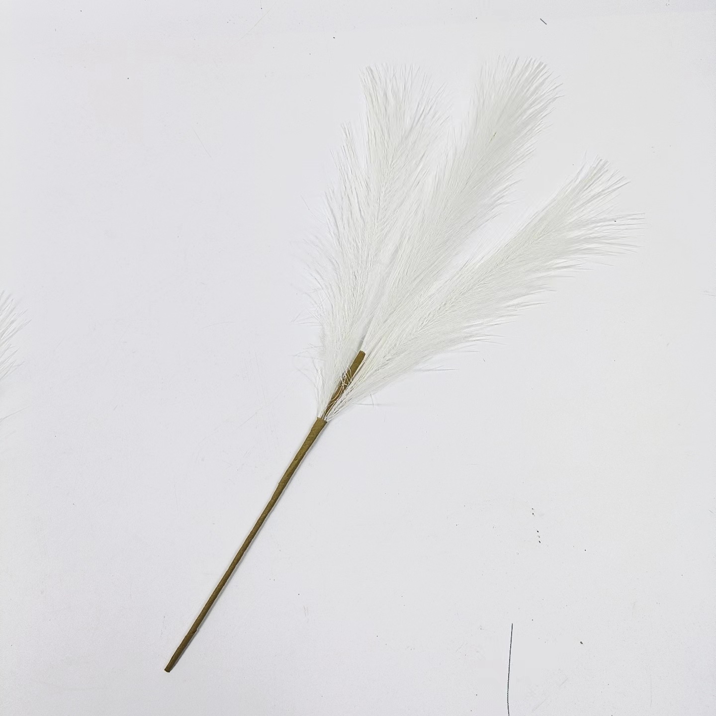 White-2