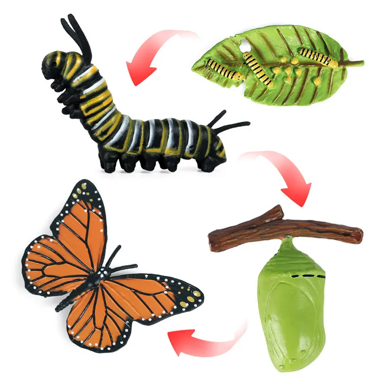 Ciclo de crescimento educacional, inseto modelo de evolução montessori, brinquedo de borboleta para bebê
