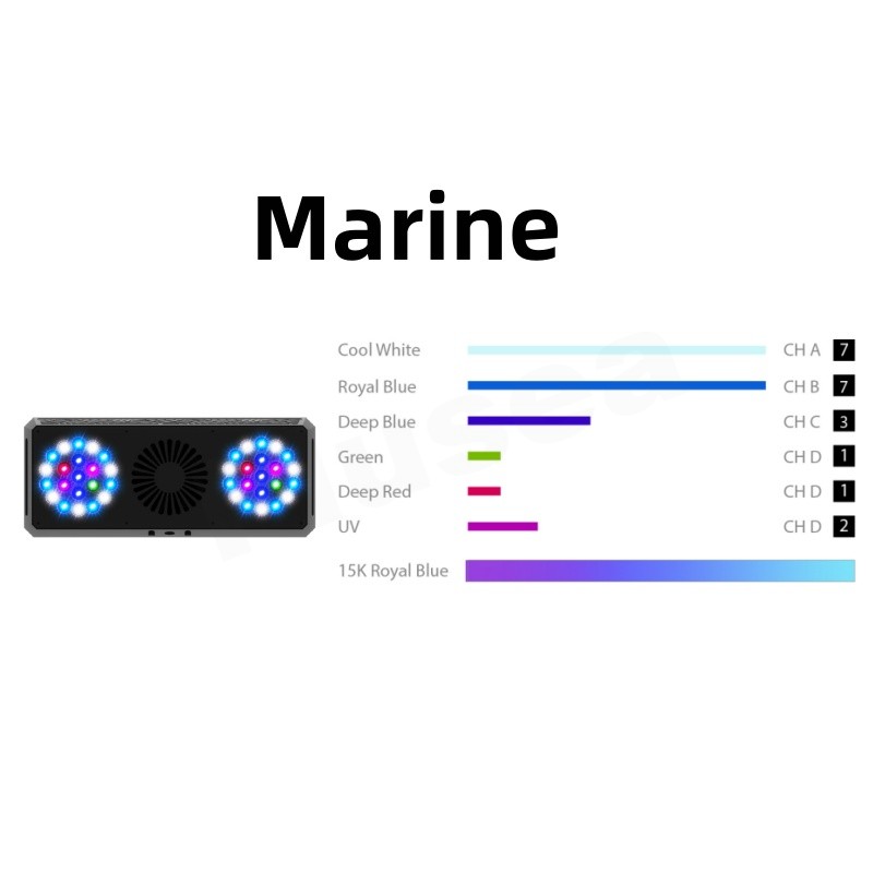 THOR X-Marine
