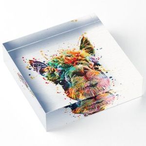 Mi acrílico personaliza el bloque de acrílico sólido cuadrado de pie tu peso de papel transparente en la oficina o el estudio - Product Image 5