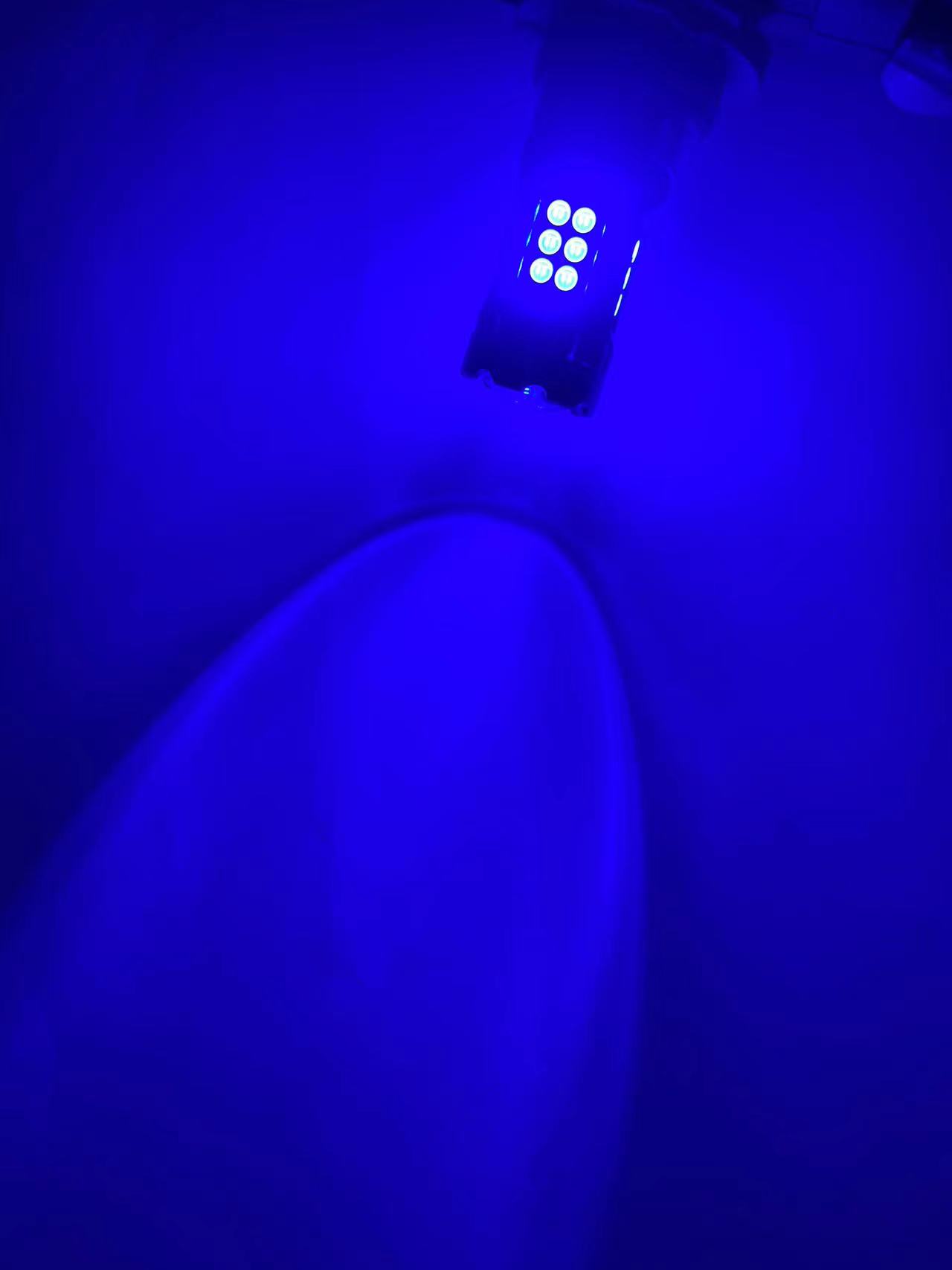 Bleu