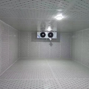 Kho lạnh trái cây tùy chỉnh cho vườn cây/bán buôn/siêu thị: kế hoạch nhỏ đến lớn & thiết kế tuân thủ - Product Image 6