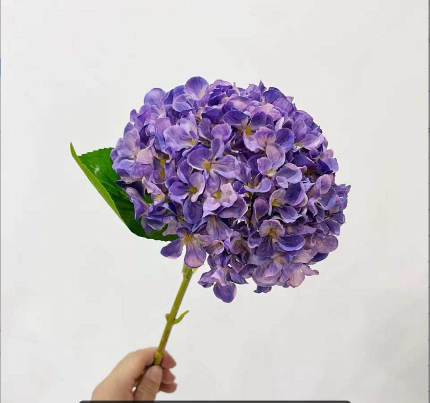 DARK PURPLE