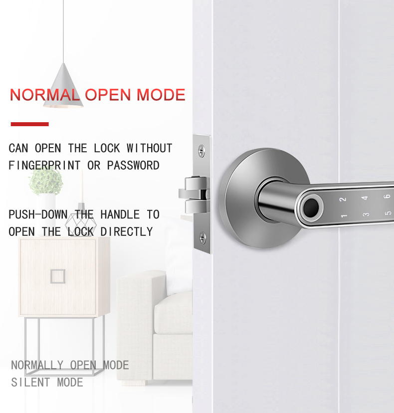 Competitive Price S604 BLE Smart Wifi Tuya APP Lock Intelligent Biometric Fingerprint Door Lock Password Home Door Lock