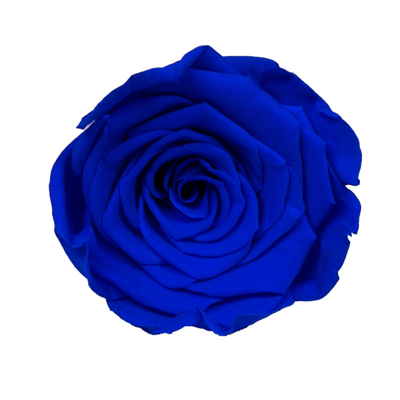 Sapphire Blue
