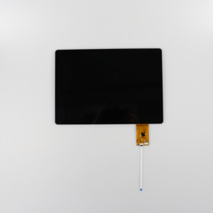 1920x1200 Alta Resolución 40pin 10,1 "10,1 pulgadas IPS LCD con módulo de pantalla táctil capacitiva - Product Image 6