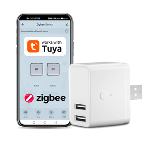 スマートTuyaZigbeeアウトレットスイッチアダプター音声制御USBプラグミニソケット、デュアルUSBまたはタイプC出力付き - Product Image 1