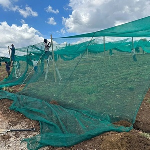 Hochwertiges Schatten netz/Schatten netz für Landwirtschaft und Gartenbau