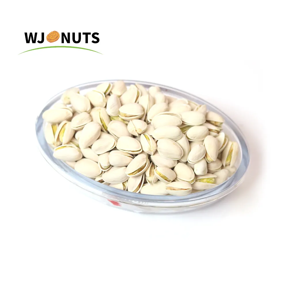 Wangjiang top selling pistachio nut price pistachios salted