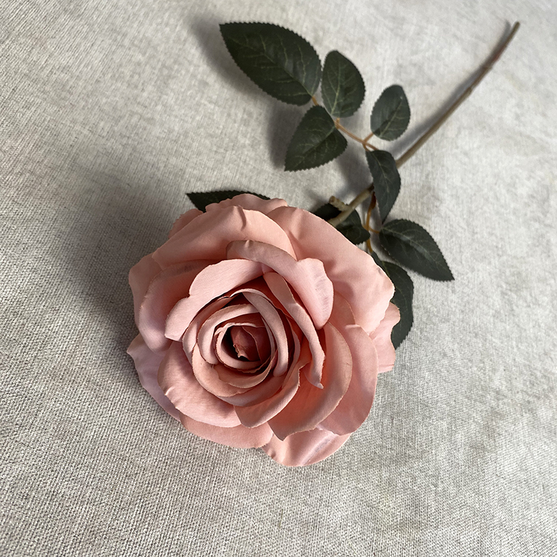 Rosa oscuro