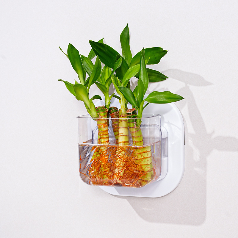 Transparent Small(10*8*9cm)