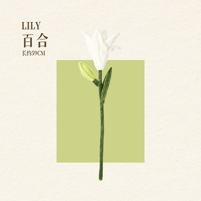 LILY
