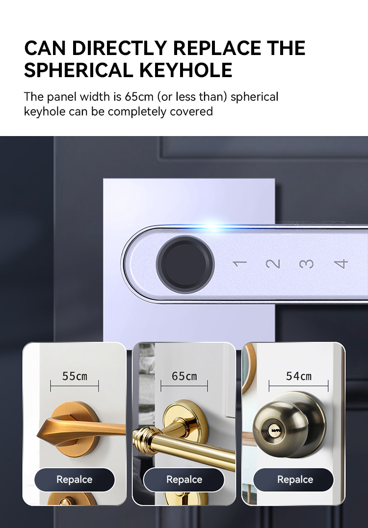 Cheap Fashion Waterproof Digital Biometric Security Fingerprint  Keypad Home Ttlock Phone Door Smart Lock