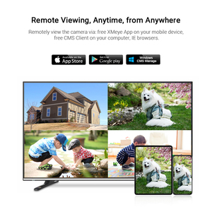 Mini Cámara IP DE SEGURIDAD HD 4G para uso doméstico, cámara panorámica interior CCTV de ojo de pez de 180 grados, 5MP SDK disponible, transmisión de vídeo RTSP