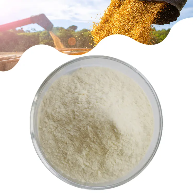 Di alta qualità additivo alimentare puro naturale fibra di soia fibra dietetica di soia in polvere