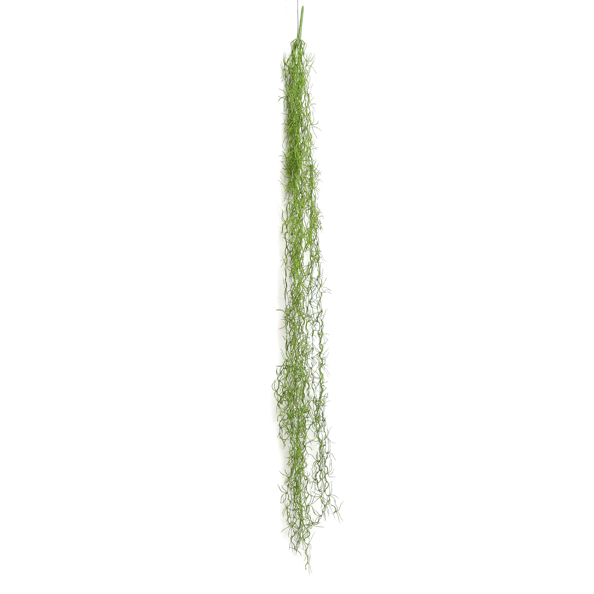 Vert 04