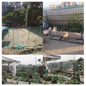 Fabrika en iyi fiyat Anti kuş netleştirme avlu bahçe çit Yard çiftlik meyve ağacı bahçe Fishpond için koruma ağı tavuk Net - Product Image 3