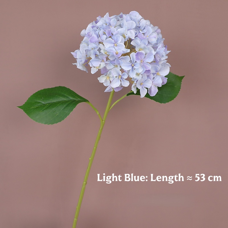 Bleu clair
