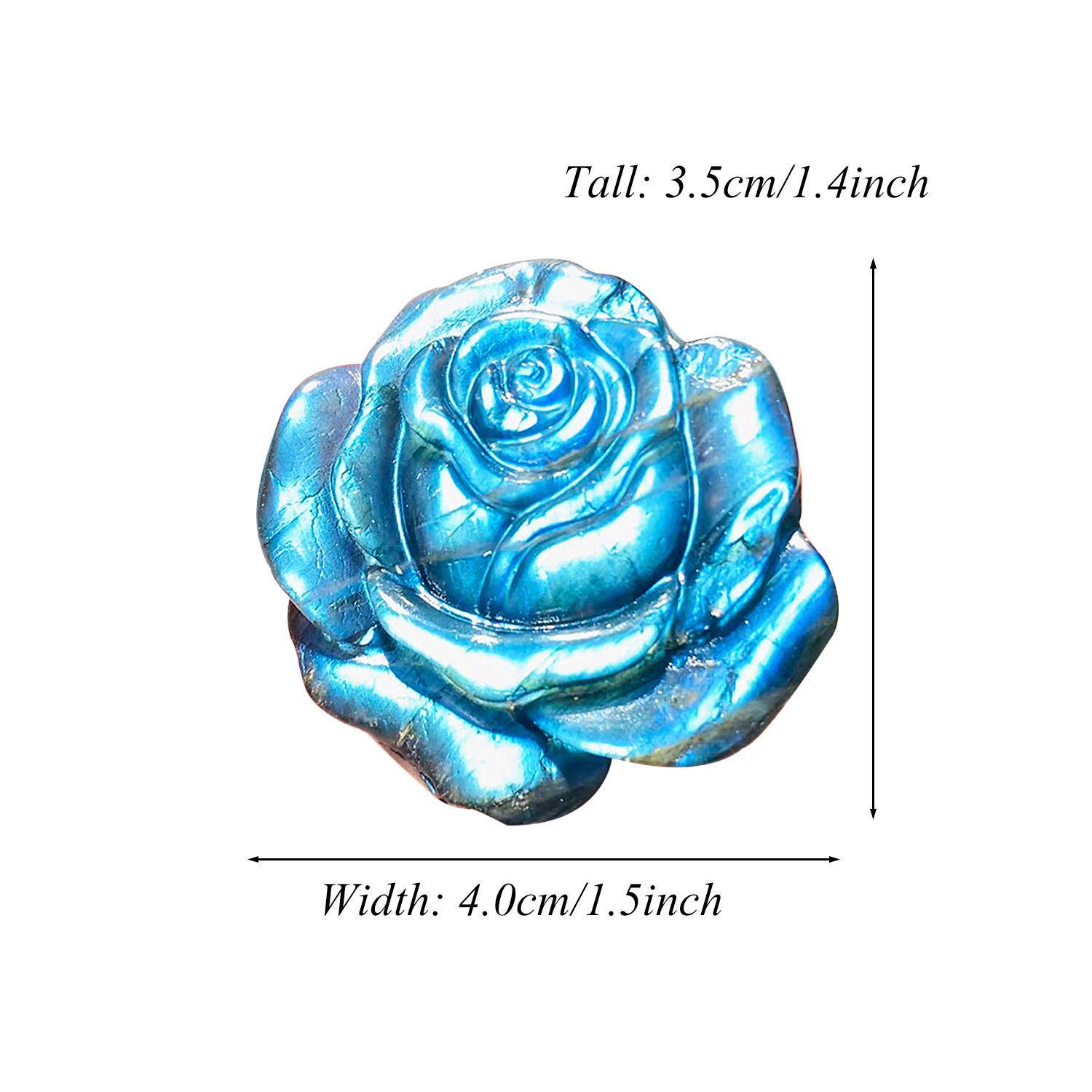 Grande fleur rose