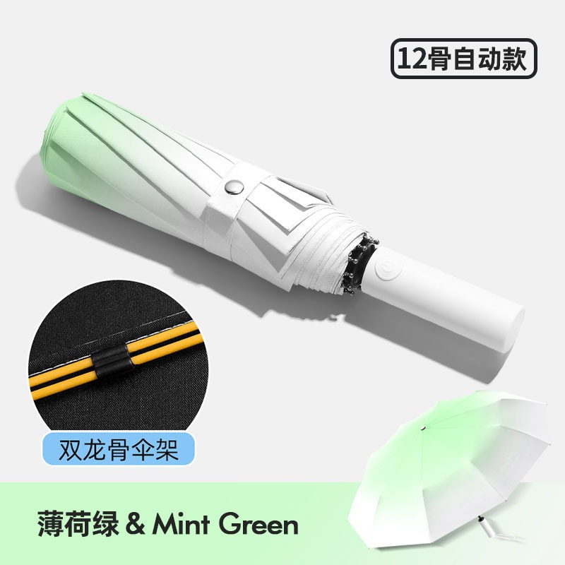 Gradient mint green-automatic 24 bone