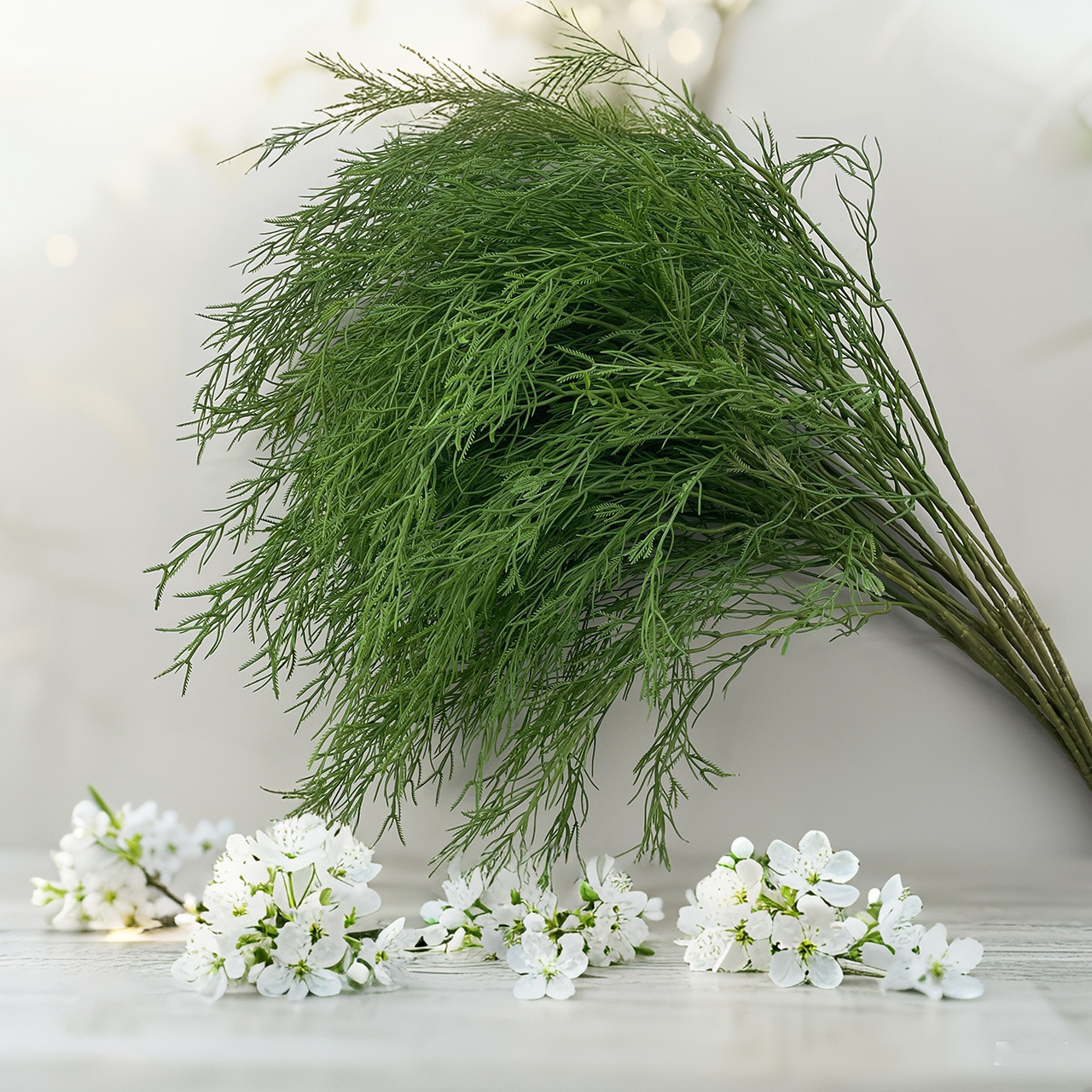 Asparagus (asparagus officinalis) 100cm