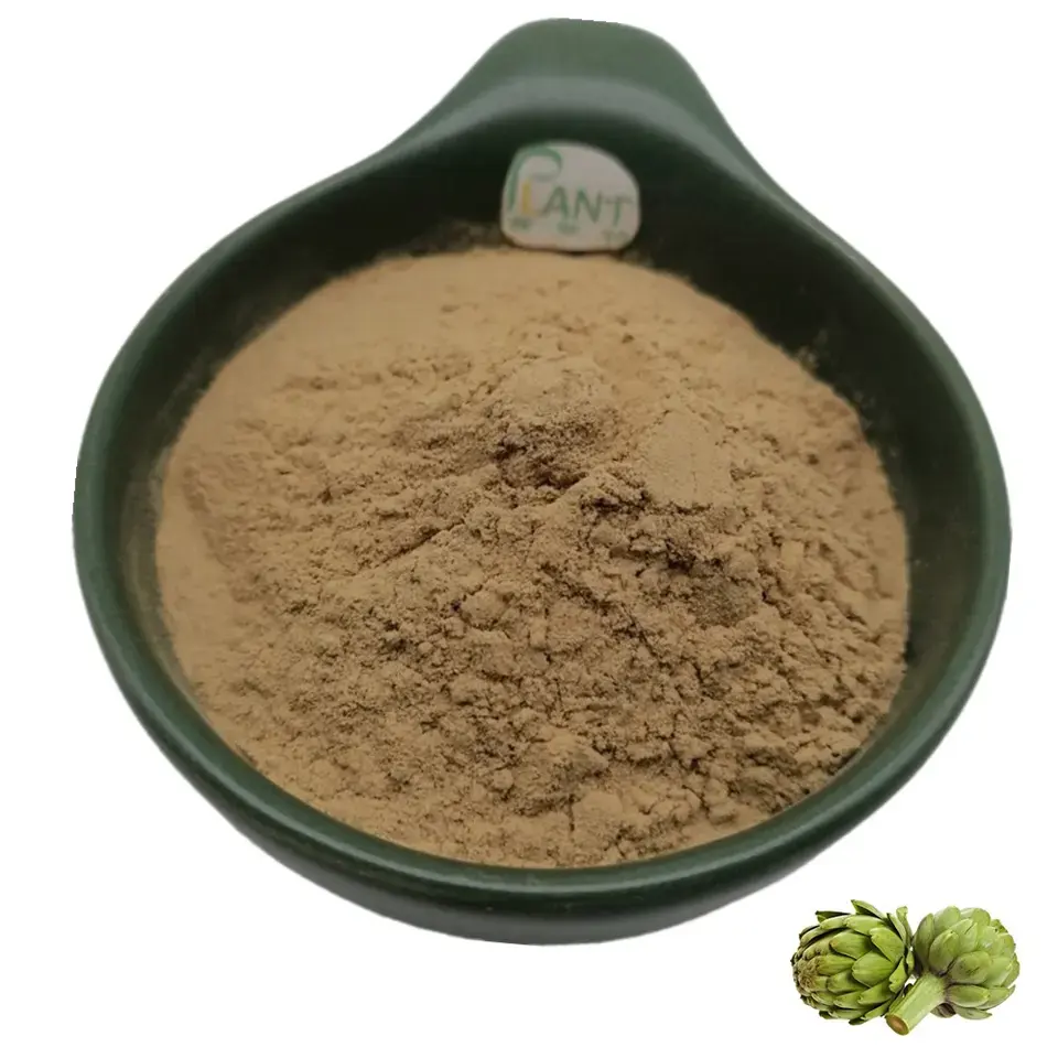 Extracto de hoja de alcachofa natural de alta calidad en polvo 2.5% 5% 10% cynarin bulk Cynara scolymus Extract