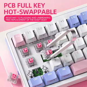 65% Mini teclado RGB 68 teclas intercambiables en caliente 2,4 Ghz con cable Doubleshot Keycaps Gaming Teclado mecánico para computadora - Product Image 3