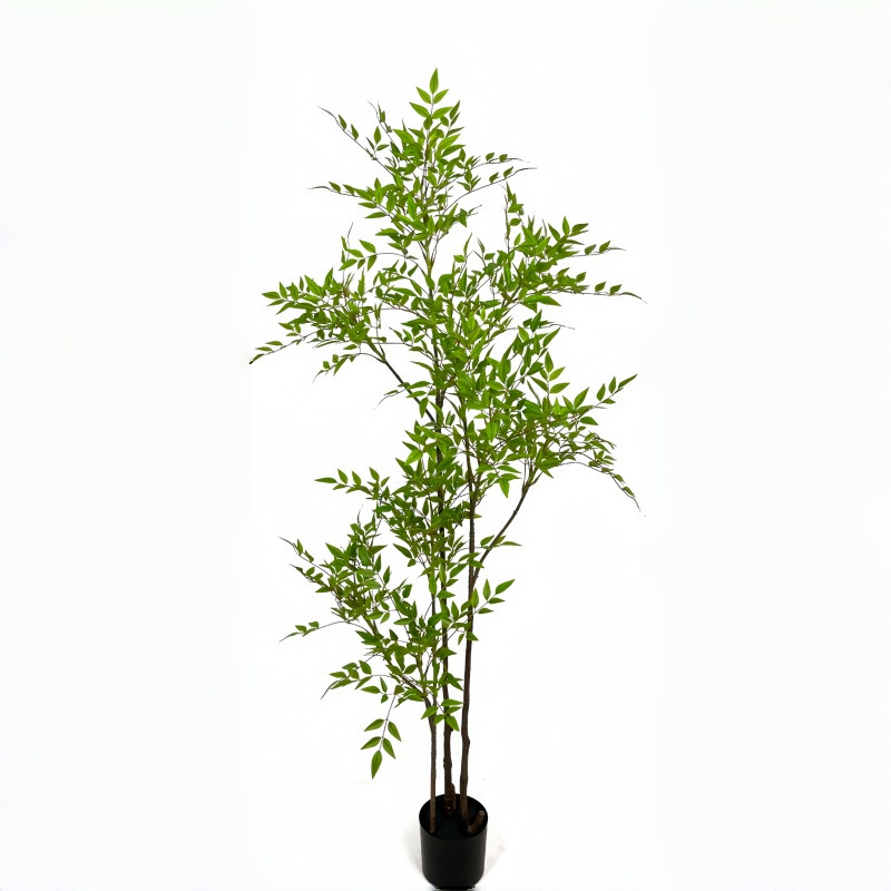 Nuevo nantianzhu verde-200cm