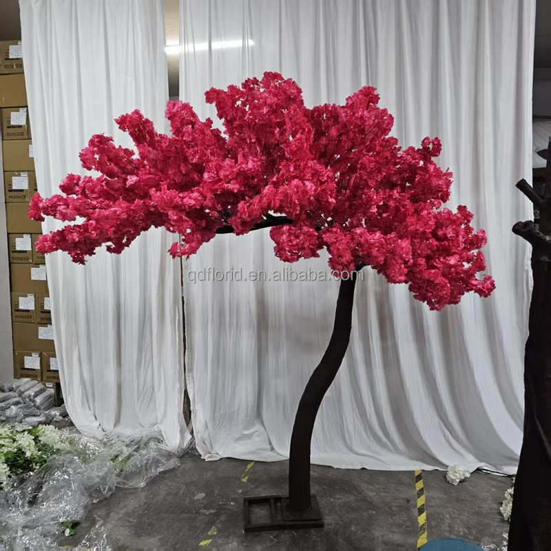 arbre en arc 4