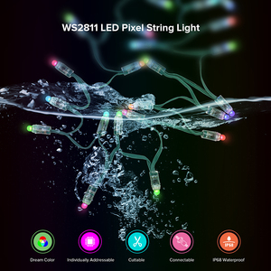 IP68 водонепроницаемый 12 мм Рождественский светодиодный модуль Smart Rgb Ws2811 Пиксельная световая строка