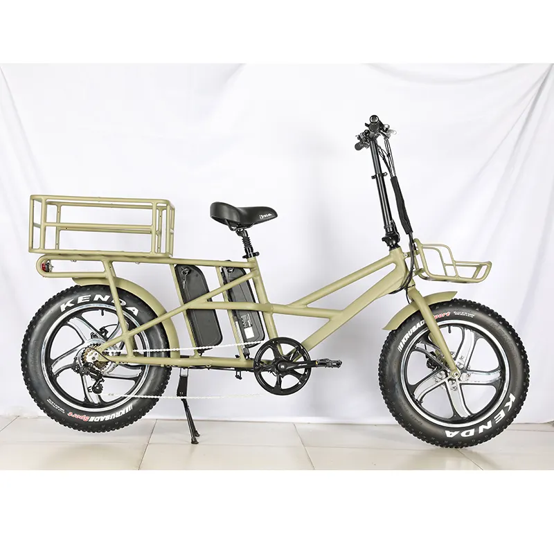 Front and rear 2 basket Fast Food delivery ebike daul 48v 10Ah battery Pizza Electric cargo bicycle electric delivery bike