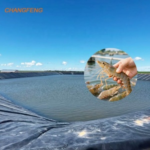 0.5mm 1.0mm魚農場池ライナーHDPE/LDPE/LLDPEジオメンブレーン価格ライナーインドネシアのプラスチック貯水 - Product Image 2