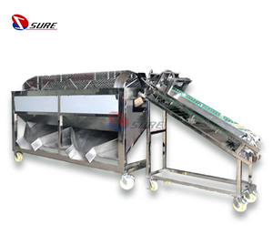 Máquina automática de descascarado de granos de cacao Máquina peladora de granos de cacao Máquina de separación de granos de cacao - Product Image 3