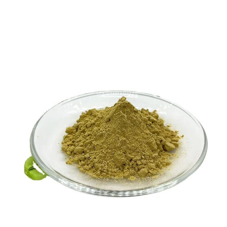 Polvo de extracto de grano de café verde puro 100% de calidad superior de suministro directo de fábrica a precio mayorista