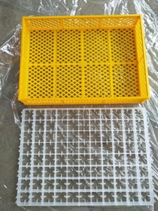 Cao Tự Động HJ-IH3168 Gà Trứng Lồng Ấp Bồ Đào Nha Công Nghiệp 3000 Miếng Chim Cút Hatcher Vịt Thổ Nhĩ Kỳ Đà Điểu Ngỗng PP - Product Image 6