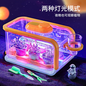 小学生のためのDIY温室野菜観察ボックスセット科学 & 工学玩具 - Product Image 3