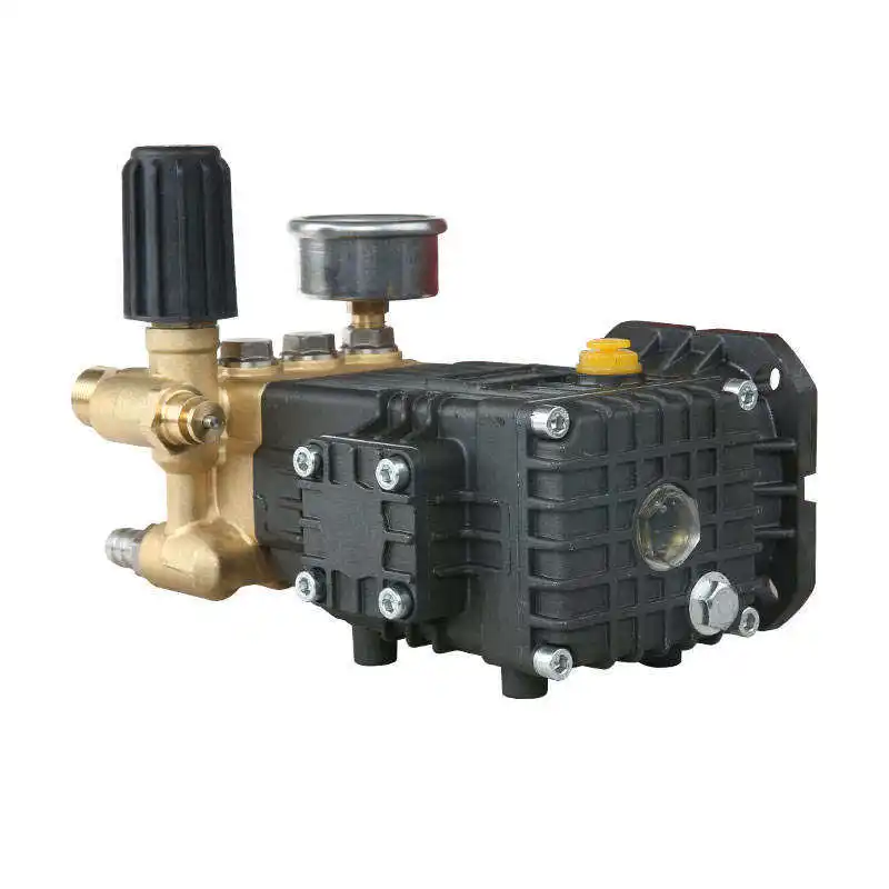 2KW 100 BAR 1450PSI High Pressure Electric Hydraulic 220v High Pressure Washer Pump Portable High Pressure Water Pump